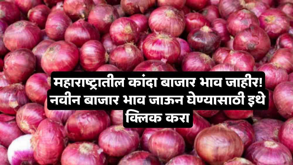 Onion Market Price
